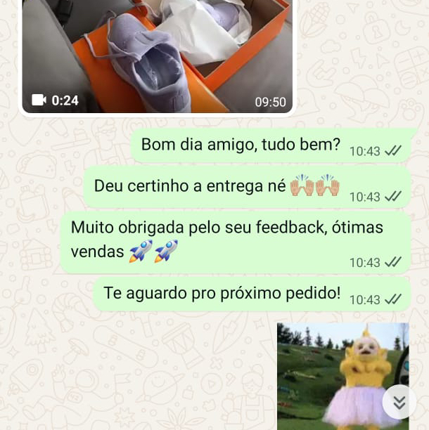 Conversa de WhatsApp de cliente confirmando entrega de tênis da Wander Tênis: "Deu certinho a entrega né" e "Te aguardo pro próximo pedido!"
